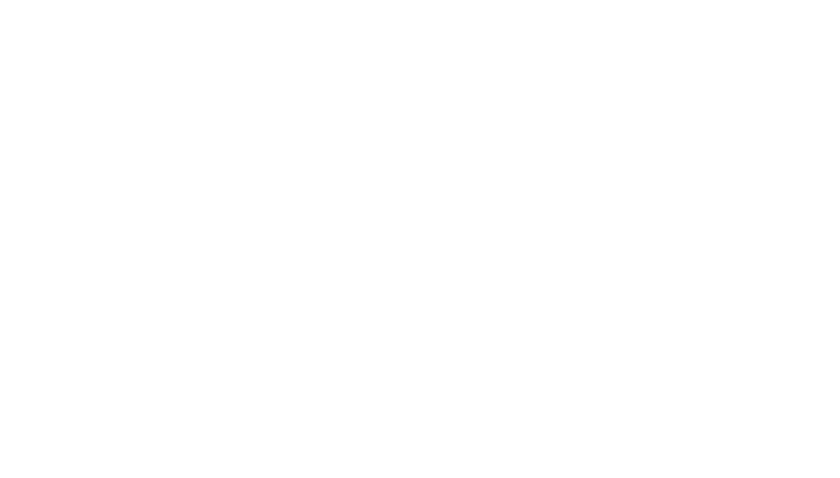 FeLT logo - white